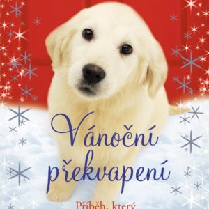 Vánoční překvapení (Daisy Bellová) (česky)