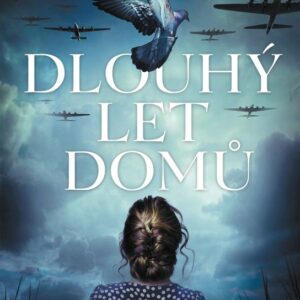Dlouhý let domů (Alan Hlad) (česky)