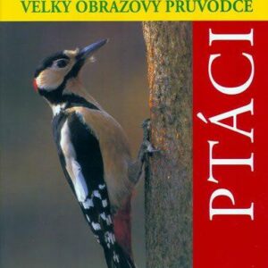 Ptáci - Velký obrazový průvodce (Vladimír Bejček) (česky)