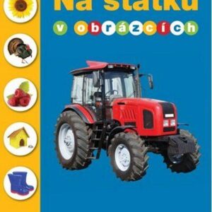Na statku v obrázcích (Allen Marie) (česky)