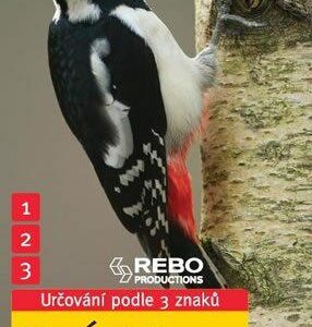 Ptáci (Einhard Bezzel) (česky)