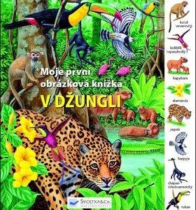 V džungli (Steiner Jiří) (česky)