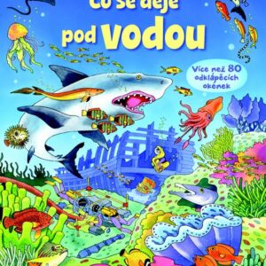 Co se děje pod vodou - Podívej se pod obrázek (Kate Davies) (česky)