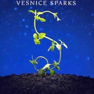 Vesnice Sparks (Jeanne DuPrau) (česky)
