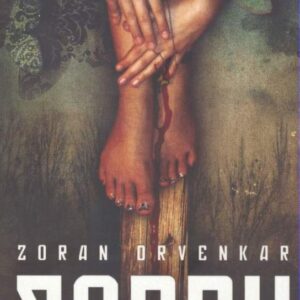 Sorry (Zoran Drvenkar) (česky)