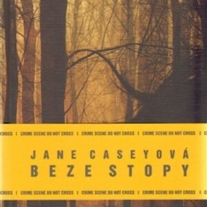Beze stopy (Jane Caseyová) (česky)