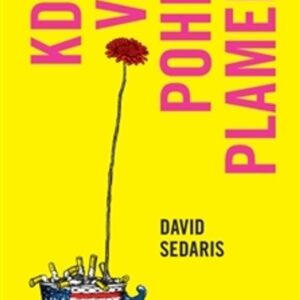 Když vás pohltí plameny (David Sedaris) (česky)