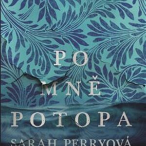 Po mně potopa (Sarah Perry) (česky)
