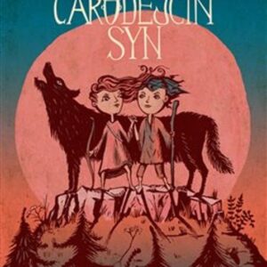 Čarodějčin syn (Barnhill Kelly) (česky)