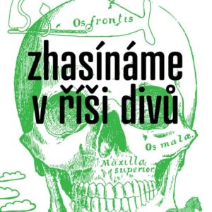 Zhasínáme v říši divů (DBC Pierre) (česky)