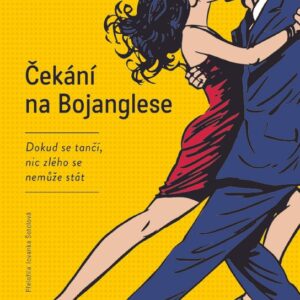 Čekání na Bojanglese (Olivier Bourdeaut) (česky)