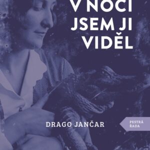 Dnes v noci jsem ji viděl (Drago Jančar) (česky)