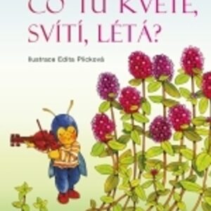 Co tu kvete, svítí, létá? (Jiří Havel) (česky)
