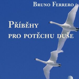 Příběhy pro potěchu duše (Bruno Ferrero) (česky)