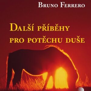 Další příběhy pro potěchu duše (Bruno Ferrero) (česky)