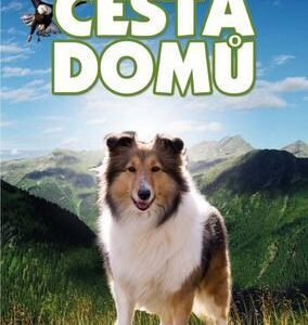 Cesta domů (Bobbie Pyronová) (česky)