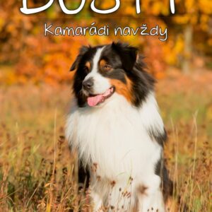 Dusty (Jan Andersen) (česky)