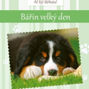 Ať žijí štěňata: Bářin velký den (Susan Hughesová) (česky)