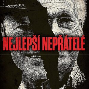 Nejlepší nepřátelé (Gus Russo) (česky)