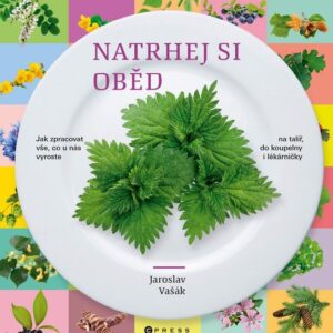 Natrhej si oběd (Jaroslav Vašák) (česky)