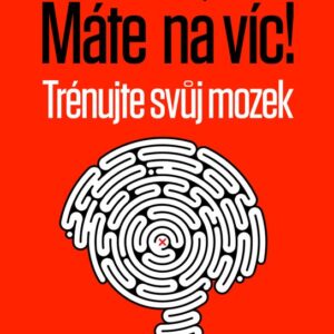 Máte na víc! Trénujte svůj mozek (Ivan Pilný) (česky)