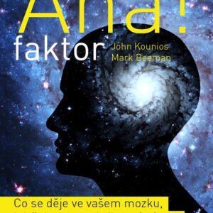 AHA faktor - Co se děje ve vašem mozku, když dostanete brilantní nápad (John Kounios) (česky)