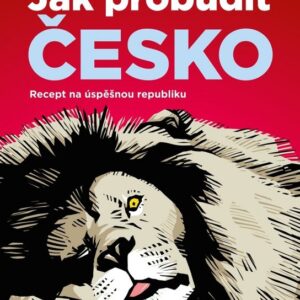 Jak probudit Česko (David Klimeš) (česky)