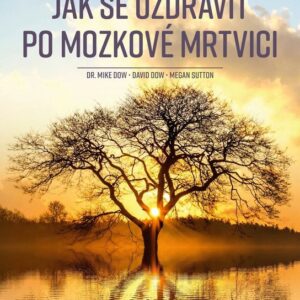 100 otázek a odpovědí, jak se uzdravit po mozkové mrtvici - Rady pro všechny, kteří bojují za své vlastní uzdravení nebo uzdravení někoh