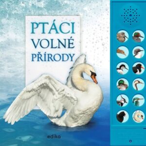 Ptáci volné přírody (Andrea  Pinnington) (česky)