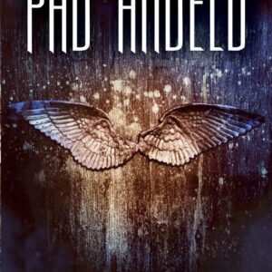 Pád andělů (Susan Ee) (česky)
