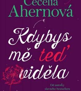 Kdybys mě teď viděla (Cecelia Ahern) (česky)