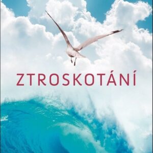 Ztroskotání (Emily Bleeker) (česky)