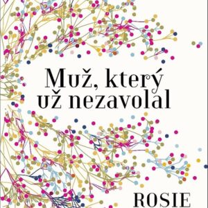 Muž, který už nezavolal (Rosie Walsh) (česky)