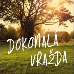 Dokonalá vražda (Jude Deveraux) (česky)