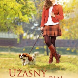 Úžasný pan Darcy (Teri Wilson) (česky)