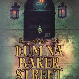 Dům na Baker Street - Za každým velkým detektivem stojí velká žena... (Birkby Michelle) (česky)