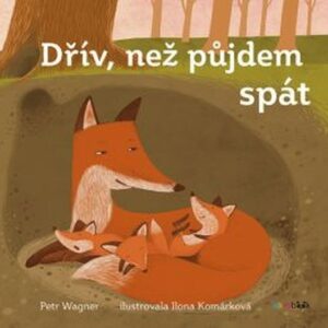 Dřív, než půjdem spát (MUDr. Petr Wagner) (česky)