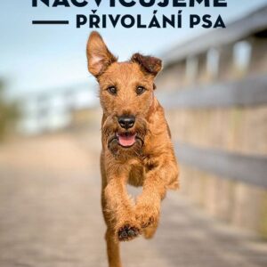 Nacvičujeme přivolání psa (Claudia Toll) (česky)