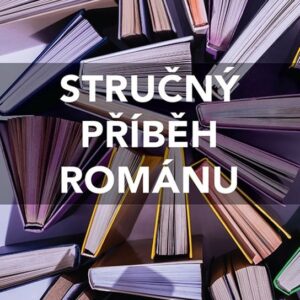Stručný příběh románu - Průvodce klíčovými žánry, díly, tématy a technikami (Henry Russell) (česky)