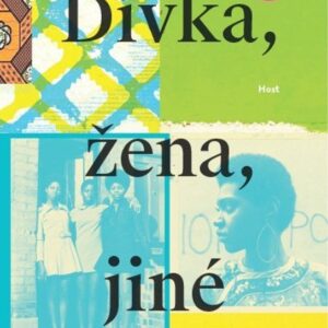 Dívka, žena, jiné (Bernardine Evaristo) (česky)