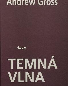 Temná vlna (Andrew Gross)