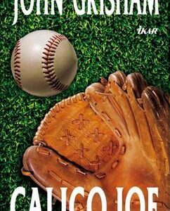 Calico Joe (John Grisham)