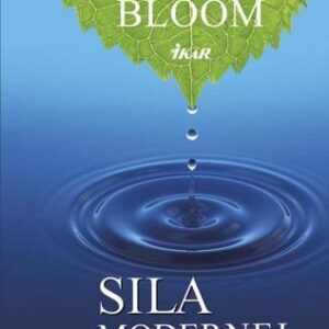 Sila modernej spirituality (Bloom William)