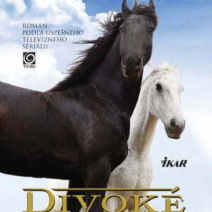 Divoké kone (Andrea Coddington)