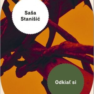 Odkiaľ si (Saša Stanišić)