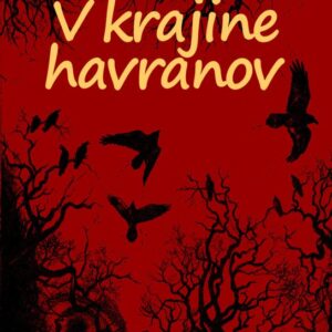 Strážca kameňa V krajine havranov (Ján Papuga)