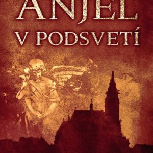 Anjel v podsvetí (Barbarič a Stein 7) (Juraj Červenák)