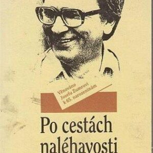 Po cestách naléhavosti myšlení (Šnebergová Irena) (česky)