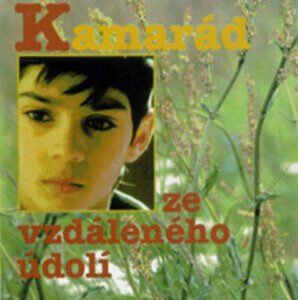 Kamarád ze vzdáleného údolí (Websterová, Elisabeth) (česky)