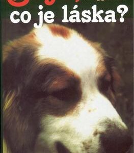 Buyo, co je láska? (Margaretha N. Eggerová) (česky)